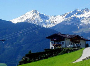  Apartments in Stummerberg/Zillertal 773  Ахам